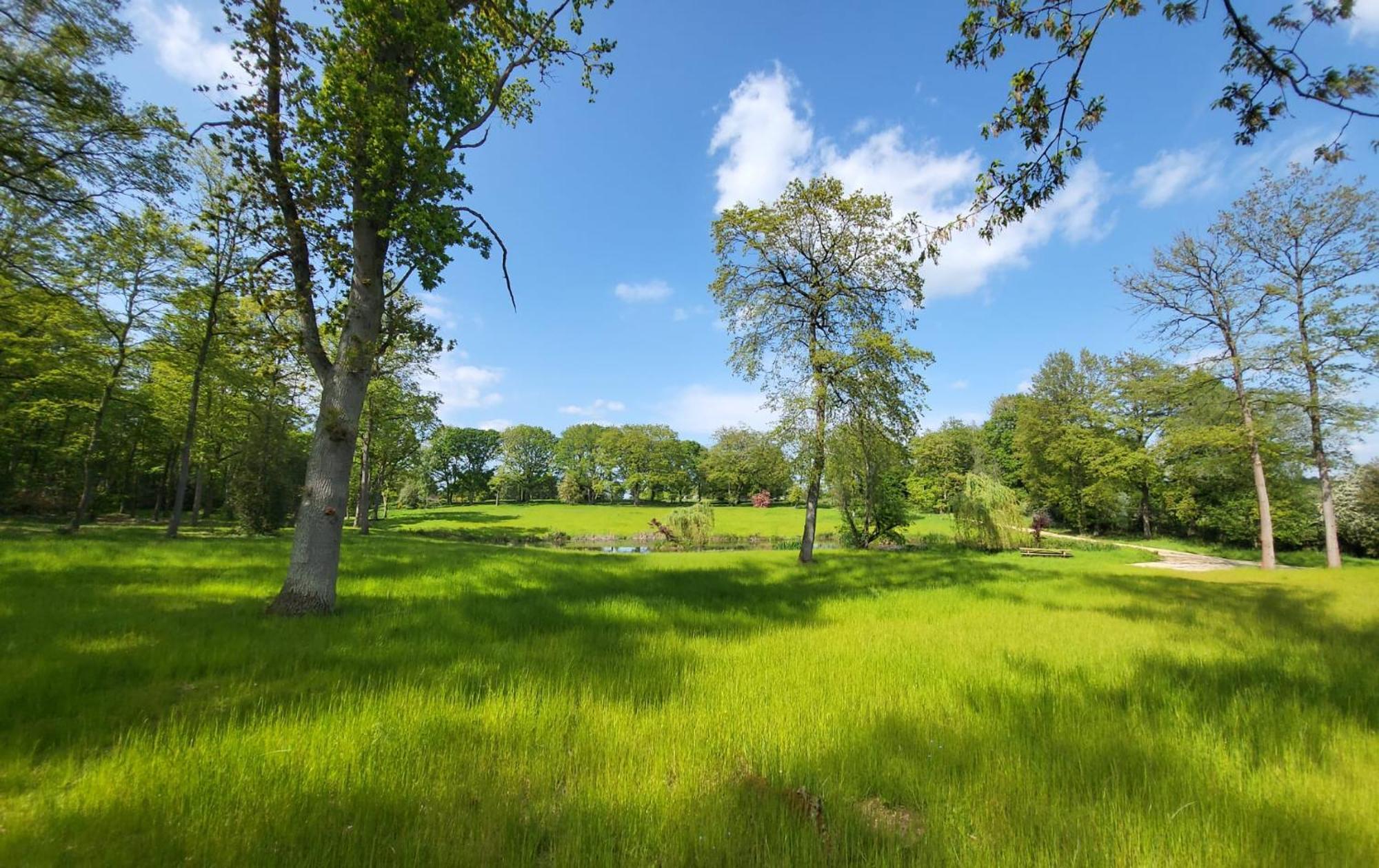 Private At Woodland Retreat * Gamlingay