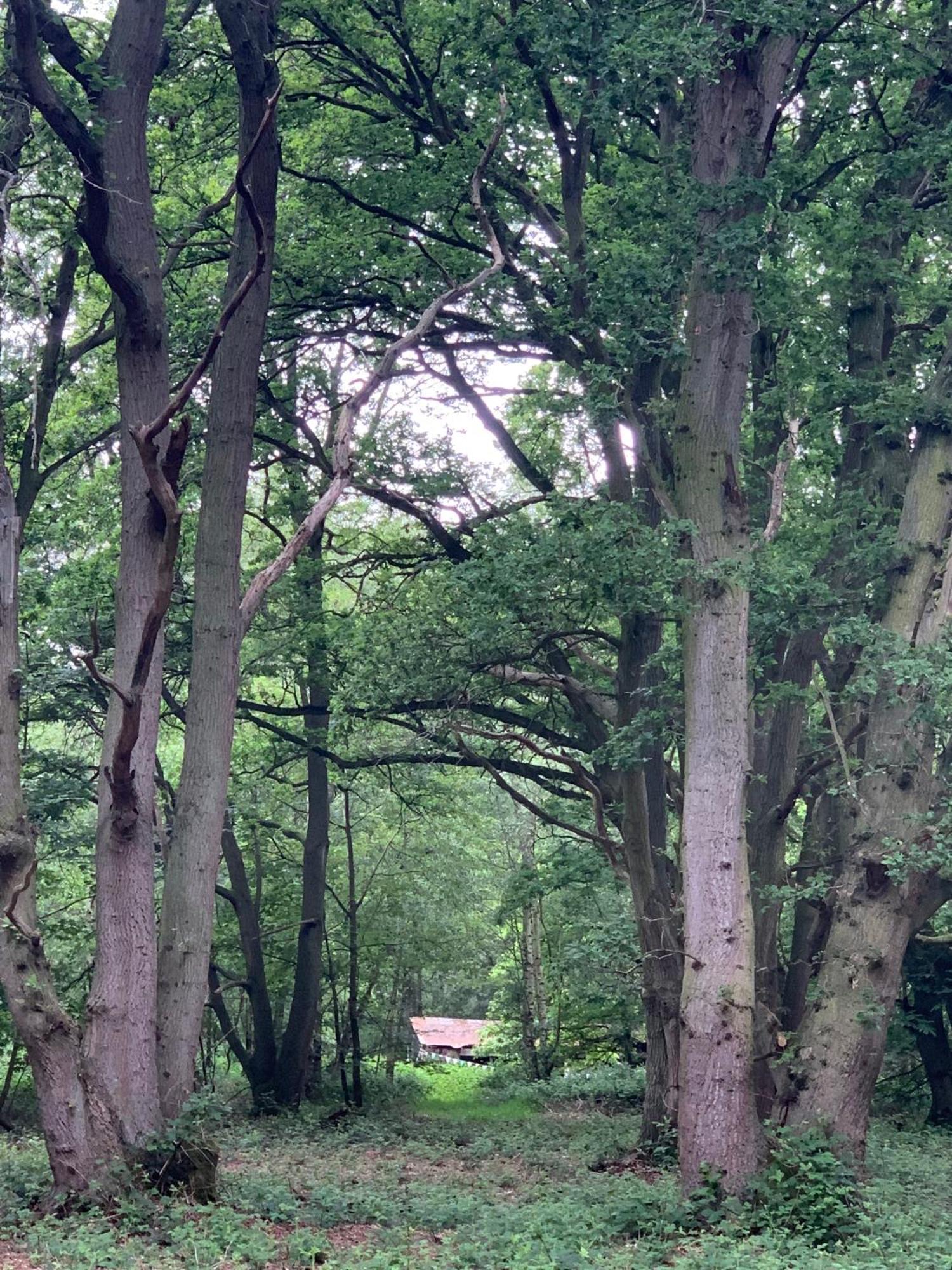 Private At Woodland Retreat *