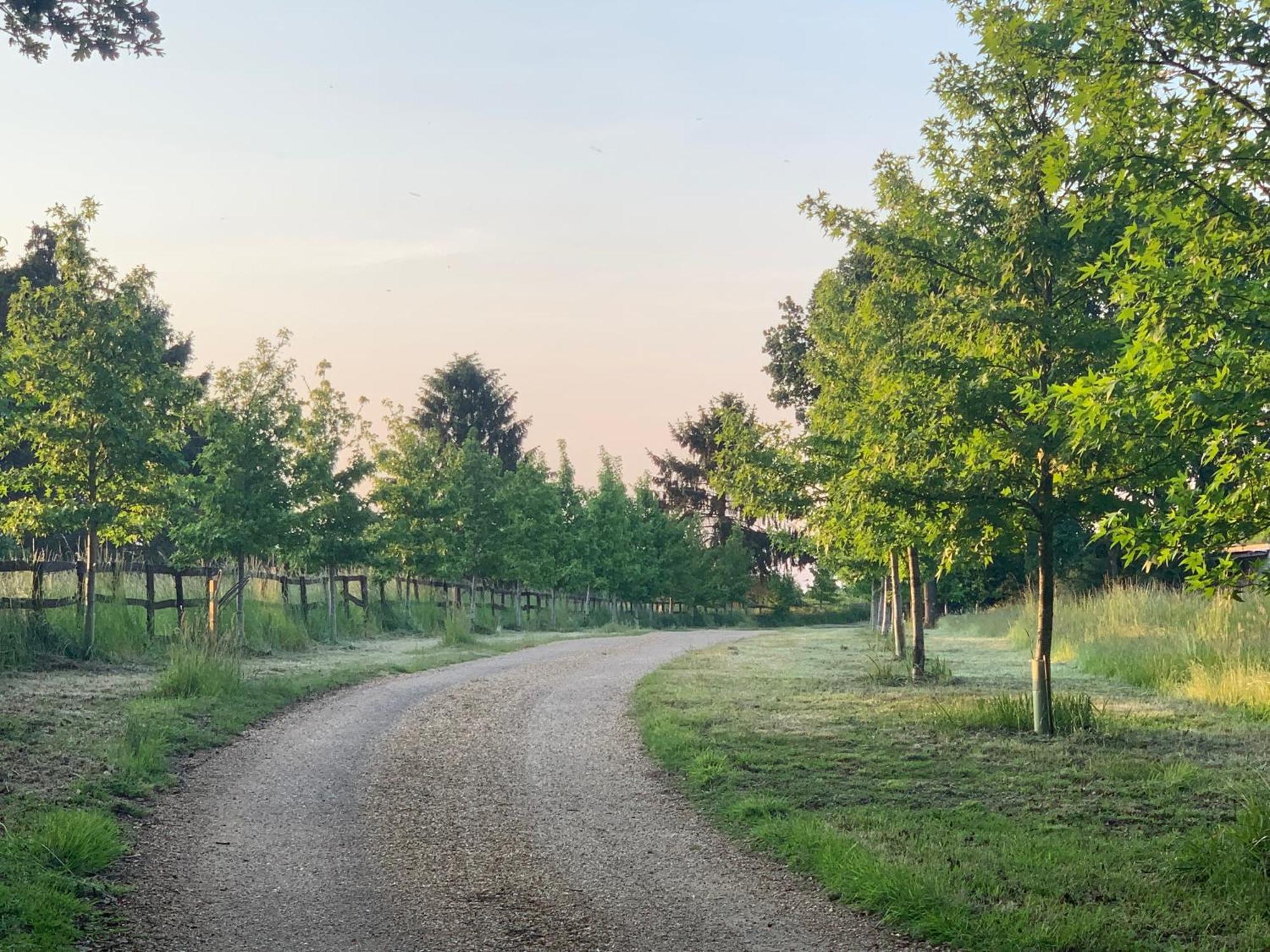 Private At Woodland Retreat Holiday home Gamlingay