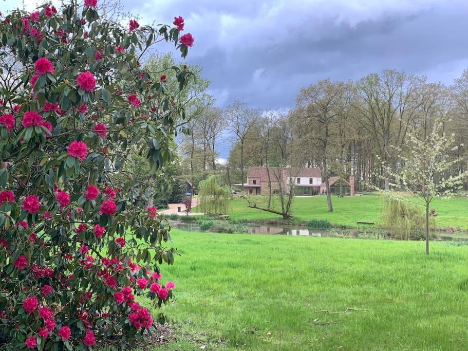 Private At Woodland Retreat Holiday home *